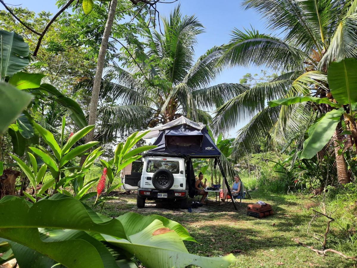 Palmar Norte La Munequita Lodge 1 - Culture & Nature Experience מראה חיצוני תמונה